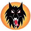 Wolverhampton Wolves