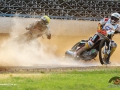 2015-extraliga-pardubice-wf-018.jpg