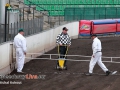2015-1liga-praha-kohout-007